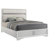 Miranda White 55-inch Upholstered Full Panel Bed from Coaster - Luna Furniture