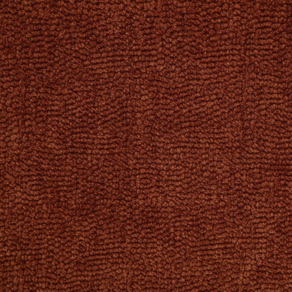 Navarro Burnt Orange Chenille Upholstered Reclining Sofa from Coaster - Luna Furniture