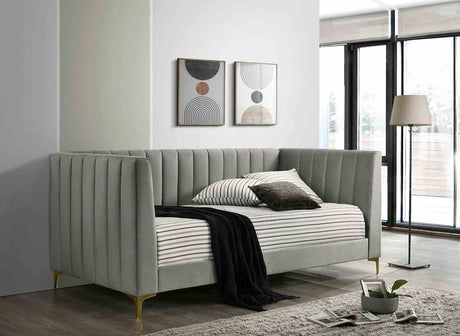 Neoma Light Gray Daybed from Furniture of America - Luna Furniture