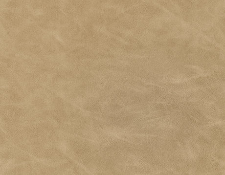 Nicco 20″ Side Chair, Sand Vegan Leather Fabric from Steve Silver - Luna Furniture