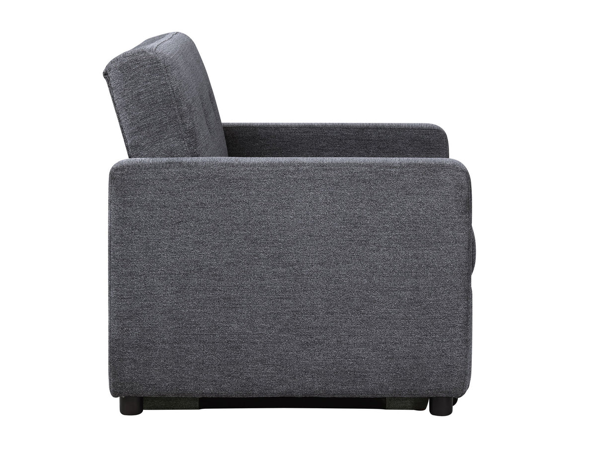 Noah Gray Convertible Sleeper Chair-and-a-Half from Steve Silver - Luna Furniture