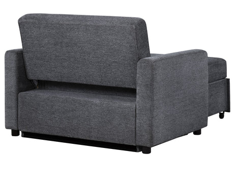 Noah Gray Convertible Sleeper Chair-and-a-Half from Steve Silver - Luna Furniture