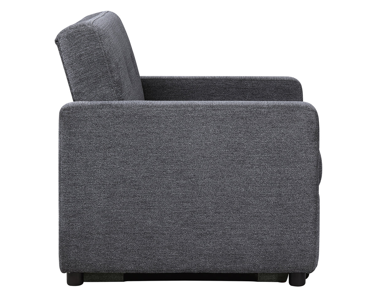 Noah Gray Convertible Sleeper Chair-and-a-Half from Steve Silver - Luna Furniture