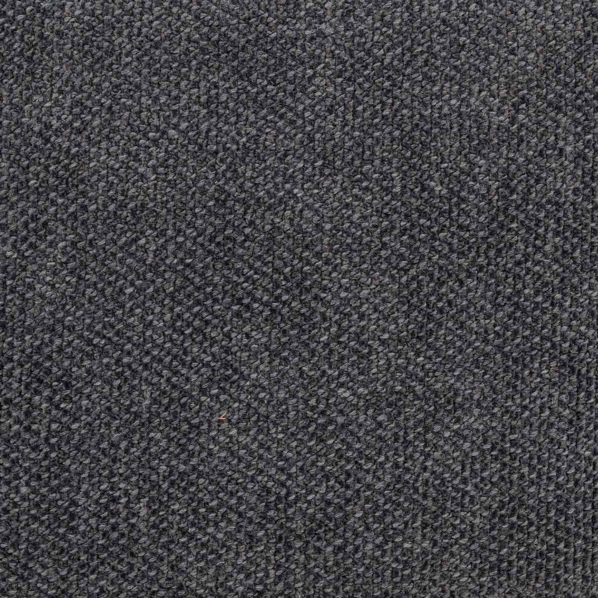 Nollet Gray 48-inch Upholstered Queen Panel Platform Bed from Coaster - Luna Furniture