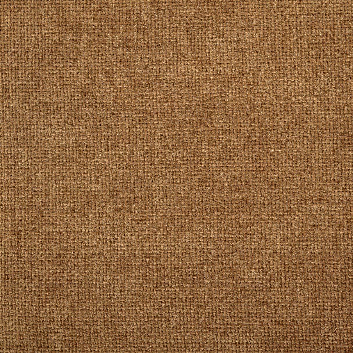 Octavia Amber Fabric Upholstered Track Arm Accent Chair from Coaster - Luna Furniture