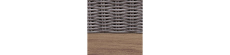 Harmony Headlands Natural/Gray Outdoor Swivel Lounge with Cushion from Ashley - Luna Furniture