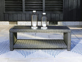 Elite Park Gray Outdoor Loveseat with Coffee Table from Ashley Furniture - Luna Furniture