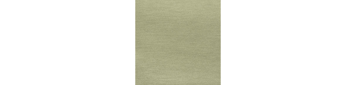 Vision Lane Beige/Green Outdoor Lounge Chair (Set of 2) from Ashley Furniture - Luna Furniture