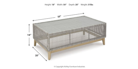 Seton Creek Outdoor Sofa and Loveseat with Coffee Table in Gray from Ashley Furniture - Luna Furniture