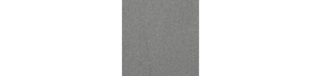 Cove Beach Gray Outdoor Lounge Chair with Cushion from Ashley - Luna Furniture