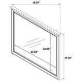 Pembroke Washed Oak Dresser Mirror from Coaster - Luna Furniture