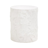 Petrified Accent Table