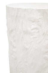 Petrified Accent Table