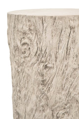 Petrified Accent Table