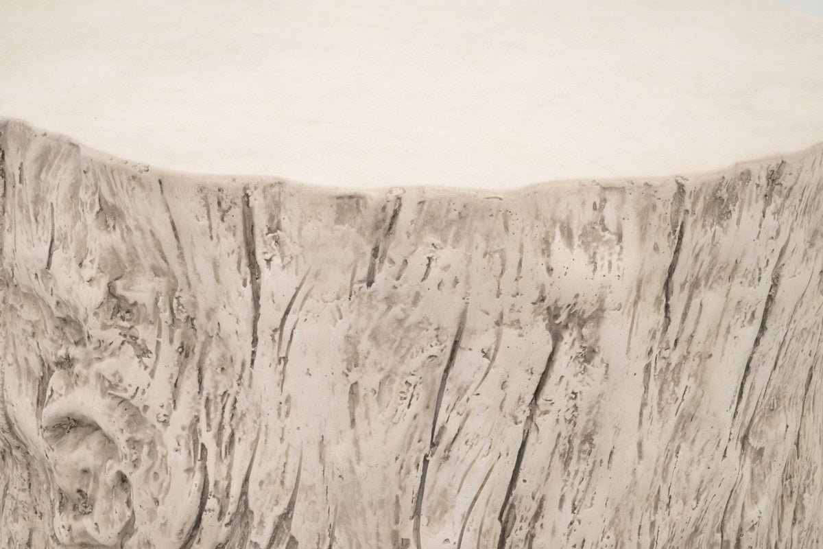 Petrified Accent Table