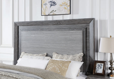 Raiden Gray Queen Bed from Furniture of America - Luna Furniture