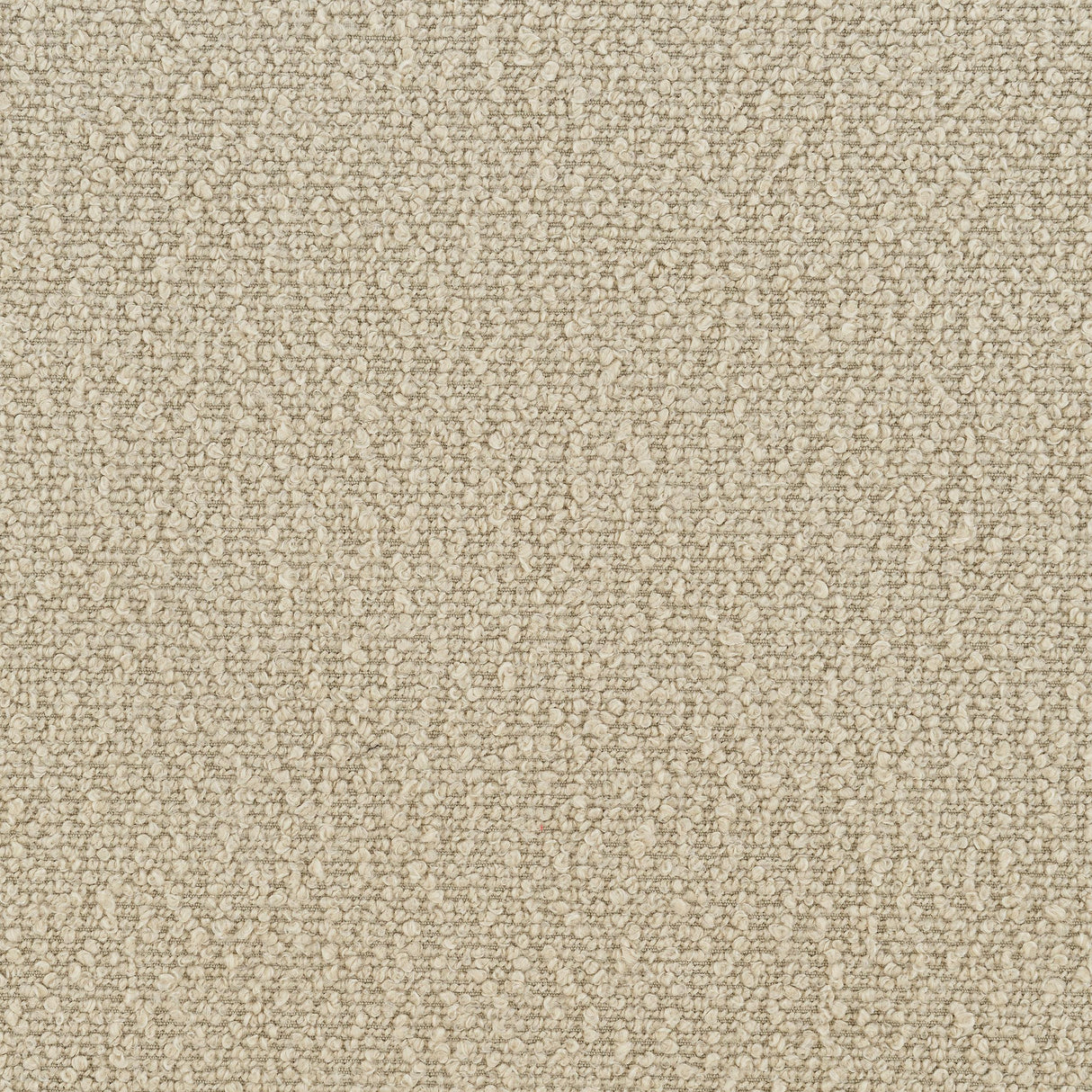 Rayo Camel Rattan Cane Back Accent Chair with Padded Seat from Coaster - Luna Furniture