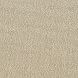 Rayo Camel Rattan Cane Back Accent Chair with Padded Seat from Coaster - Luna Furniture