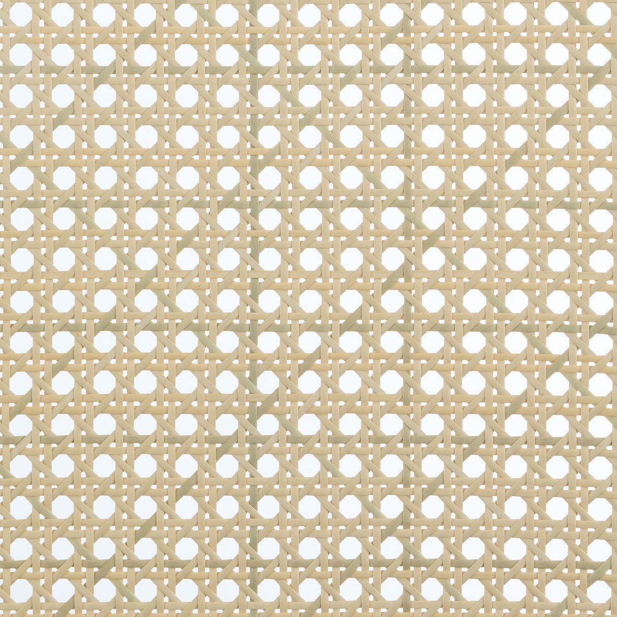 Rayo Camel Rattan Cane Back Accent Chair with Padded Seat from Coaster - Luna Furniture