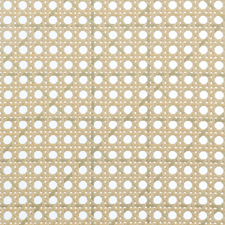 Rayo Camel Rattan Cane Back Accent Chair with Padded Seat from Coaster - Luna Furniture