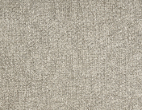 Rhodes Versatile Beige Power Lift Chair from Steve Silver - Luna Furniture