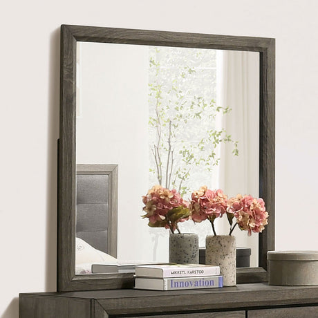 Roanne Gray Mirror (Mirror Only) from Furniture of America - Luna Furniture