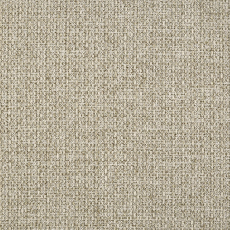 Robyn Light Ash Wood Queen Platform Bed from Coaster - Luna Furniture