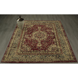 Royal Brown and Scarlet Red 8X10 Rug from Nova Furniture - Luna Furniture