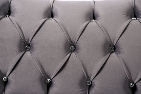 Antoinette Gray Loveseat from Furniture of America - Luna Furniture