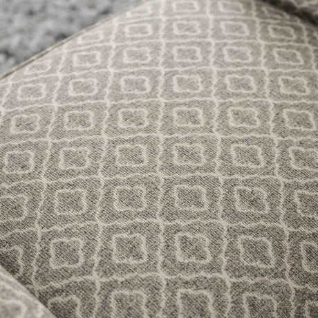 Stephney Gold/Gray Chair from Furniture of America - Luna Furniture