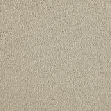 Serra Sandy Beige Boucle Swivel Glider from Coaster - Luna Furniture