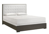 Sharpe Brown Twin Upholstered Panel Bed from Crown Mark - Luna Furniture