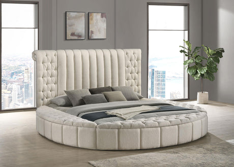 Sonya Ivory Upholstered Eastern King Round Storage Bed from Coaster - Luna Furniture