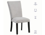 Artemis Gray Chenille Side Chair, Set of 2 from Steve Silver - Luna Furniture