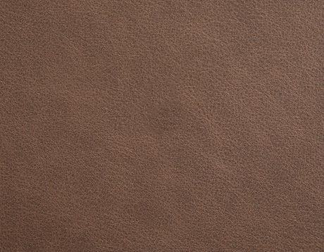 Barron Brown Manual Reclining Sofa from Steve Silver - Luna Furniture