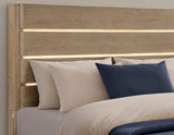 Theo Brown Queen Panel Bed with LED Strips from Steve Silver - Luna Furniture