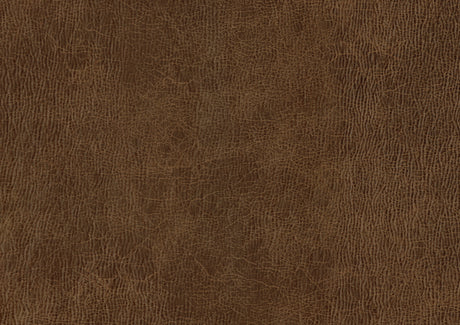 Strata Brown Dining Side Chair, Set of 2 from Homelegance - Luna Furniture