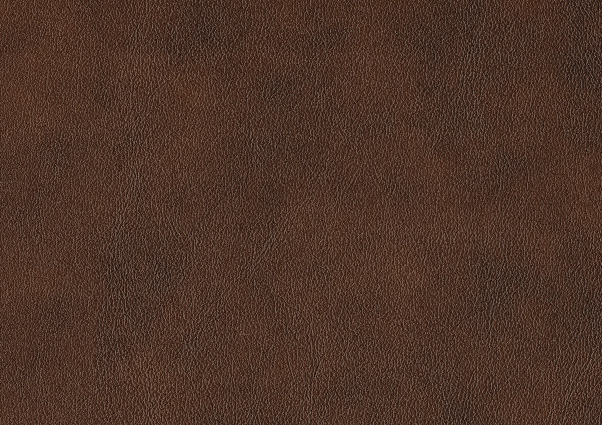 Sutton Brown Leather Power Double Reclining Sofa with Power Headrests and Charging Ports from Homelegance - Luna Furniture