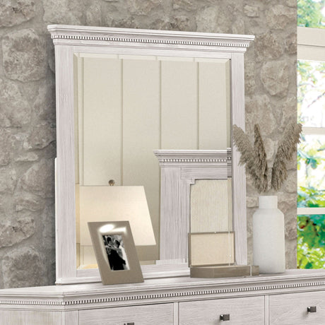 Swanley Weathered Gray Mirror (Mirror Only) from Furniture of America - Luna Furniture