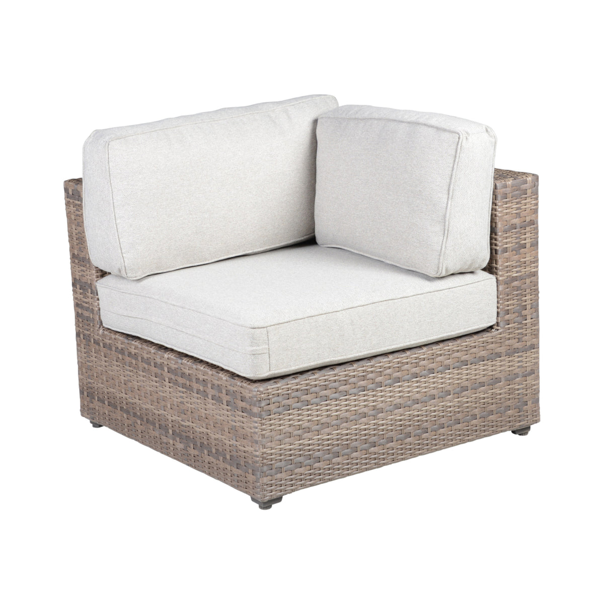 Tamyra Resin Wicker Patio Arm Chairs from Steve Silver - Luna Furniture