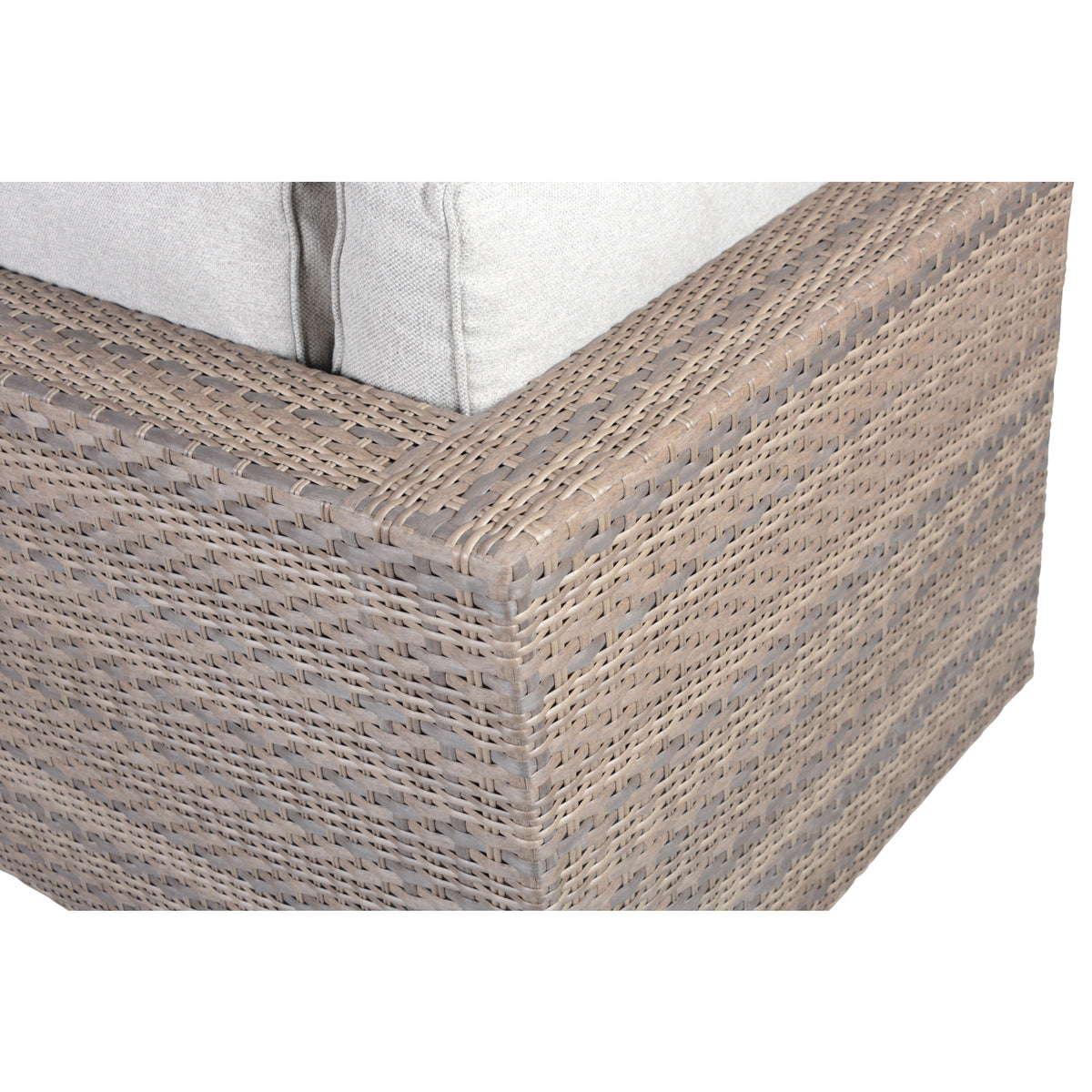 Tamyra Resin Wicker Patio Arm Chairs from Steve Silver - Luna Furniture