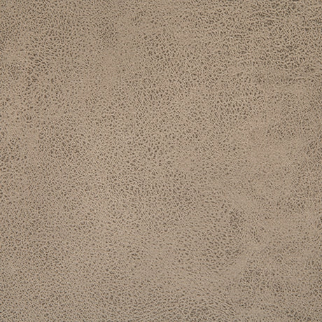 Tallenger 2-Piece Bar Stool in Beige from Ashley - Luna Furniture