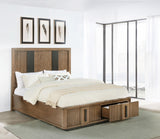 Terrace Ash Brown 2-Drawer Eastern King Storage Bed from Coaster - Luna Furniture
