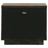 Terrace Ash Brown 2-Drawer Nightstand from Coaster - Luna Furniture