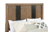Terrace Ash Brown 2-Drawer Queen Storage Bed from Coaster - Luna Furniture