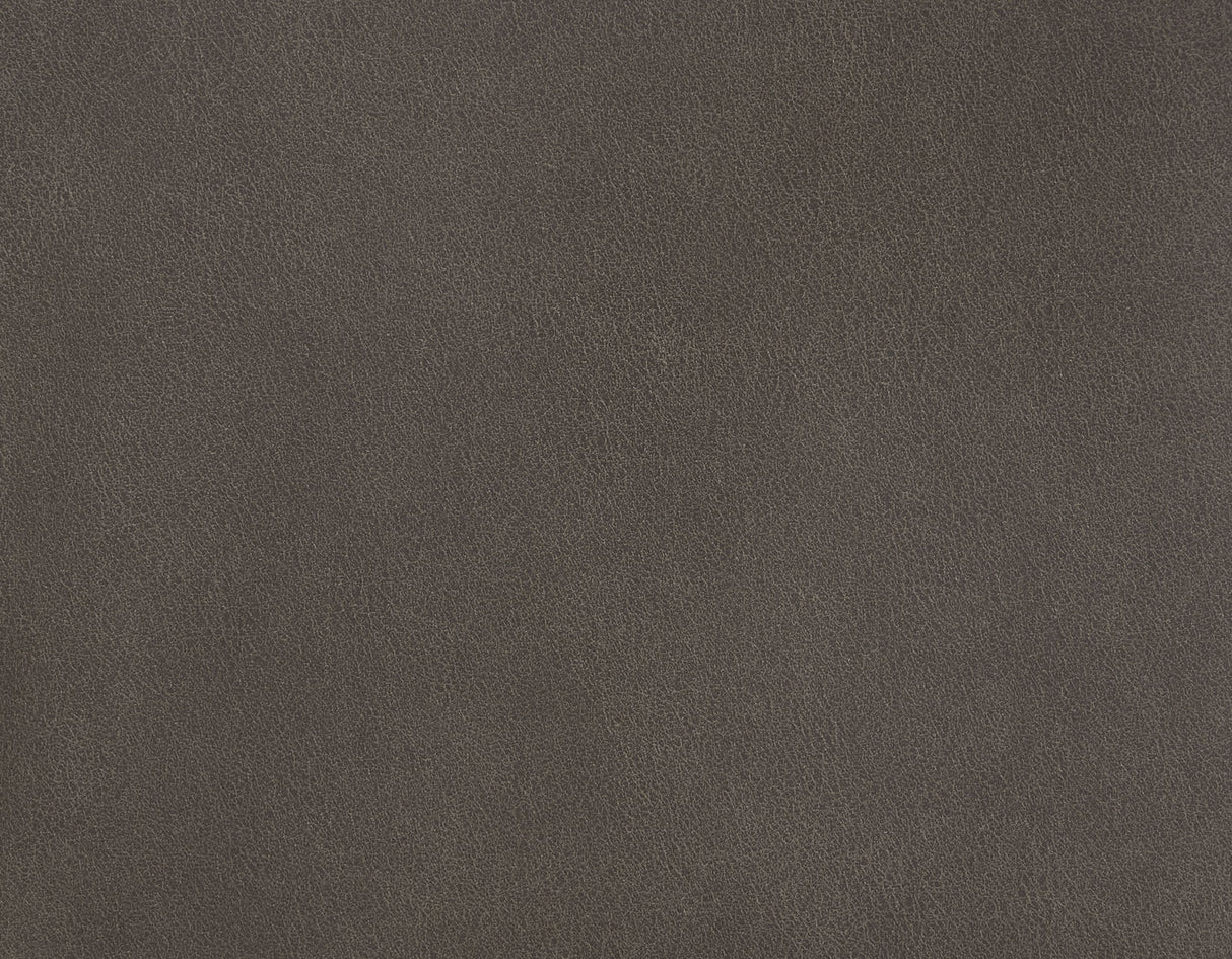 Thames Walnut Power Lift Chair with Power Headrest from Steve Silver - Luna Furniture