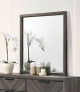 Vagan Gray Mirror (Mirror Only) from Furniture of America - Luna Furniture