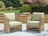 Vision Lane Beige/Green Outdoor Lounge Chair (Set of 2) from Ashley Furniture - Luna Furniture