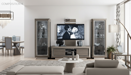 Elite SIlver Birch TV Cabinet from ESF Furniture - Luna Furniture