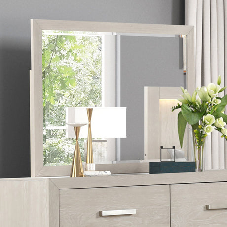 Wellingborough Light Gray Mirror (Mirror Only) from Furniture of America - Luna Furniture